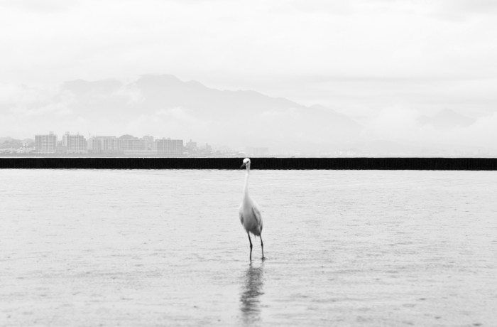 Hiroshima – Phoenix rising from the ashes