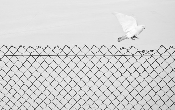 Liberation