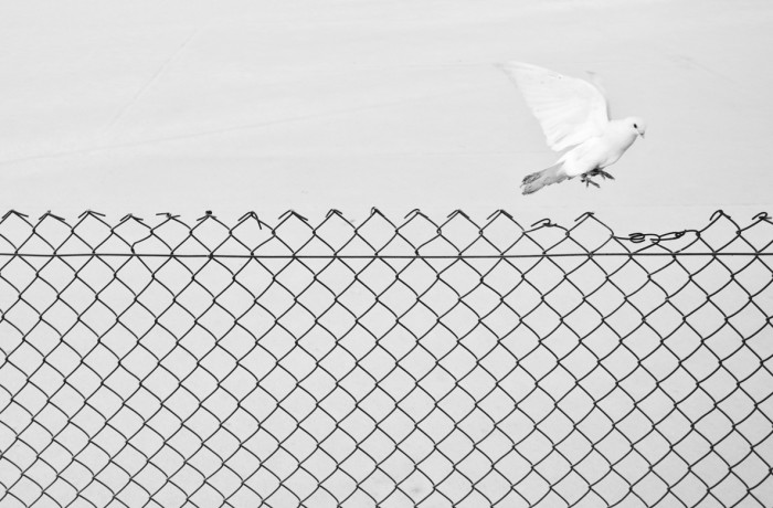 Liberation