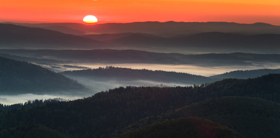Bartłomiej Bara – Zonsopkomst