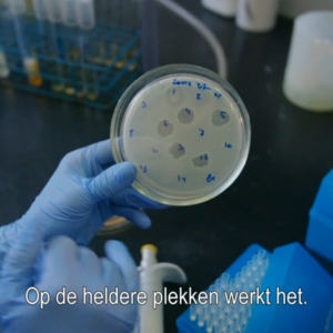 Still uit aflevering over bacteriofaag