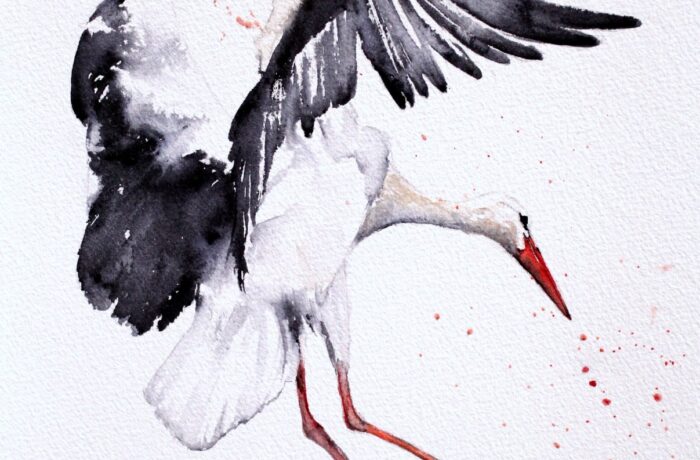 Magdalena Malik: Liefhebber van vogels | De Ooievaar