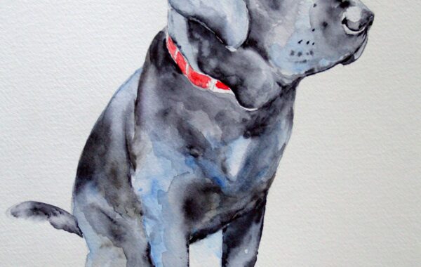 Hond door Magdalena Malik