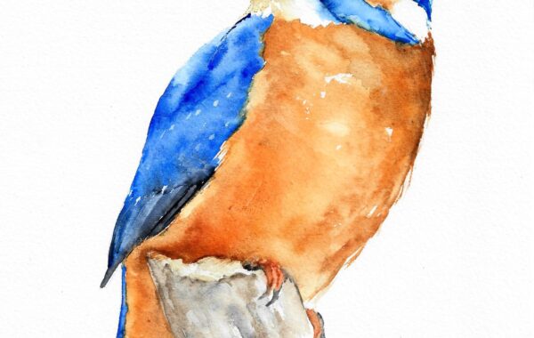 IJsvogel van Magdalena Malik